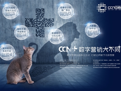 CCNһһaĸИI(y)(sh)ֻINI(y)(w)